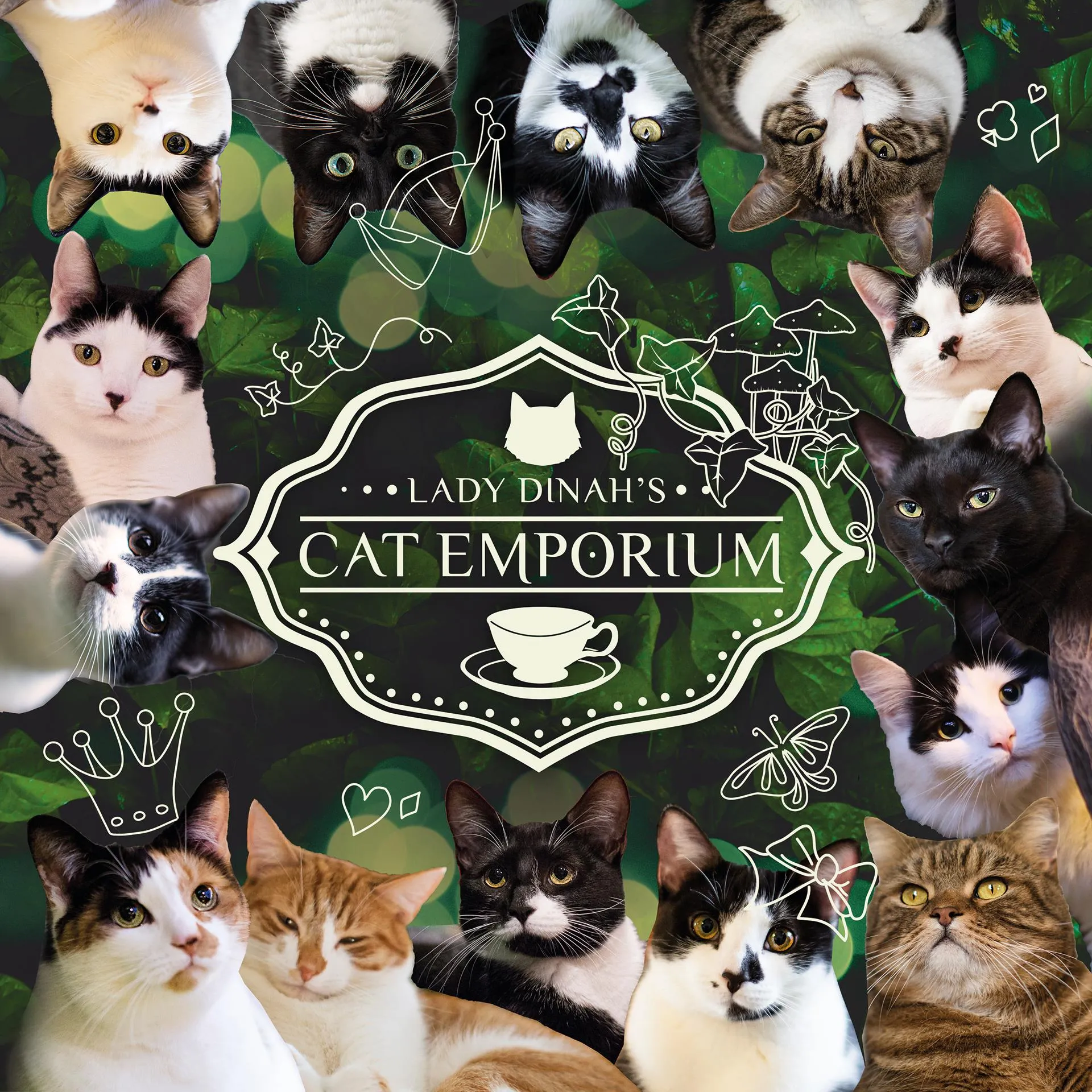  Lady Dinah's Cat Emporium Promo Codes